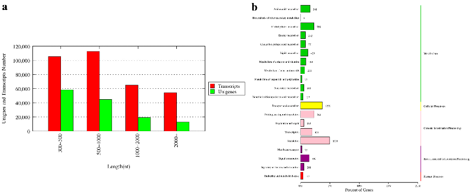 Metabolomics profiling identifies significantly altered metabolites in precocious versus normal crabs, with enrichment in lipid and amino acid metabolic pathways.