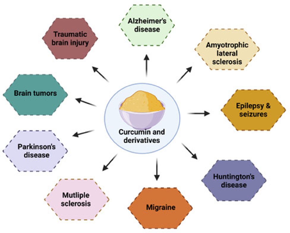 Fig. 2. Illustrates the curcumin activity against various NDs.