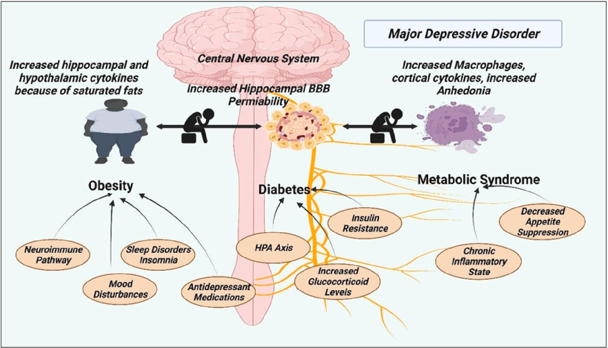 Fig. 2. Obesity, diabetes, and metabolic syndrome are metabolic diseases that coexist with depression-Created with BioRender.com.
