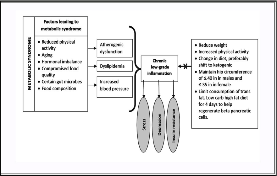 Fig. 6. A schematic representation of the factors affecting metabolic syndrome and the corresponding dietary and lifestyle changes for the alleviating the same.