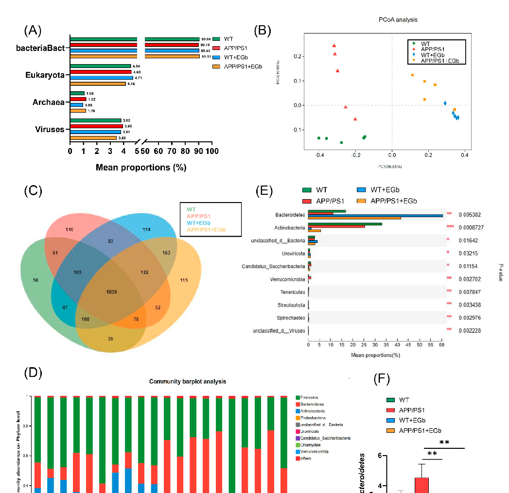 Taxonomic composition of gut microbiota at the phylum level across experimental groups. Relative abundance of Firmicutes, Bacteroidetes, and other phyla is compared between Ginkgo biloba-treated and control Alzheimer's model mice.