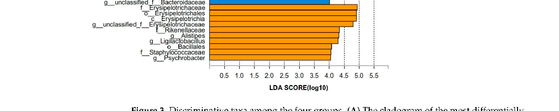Cladogram visualization of microbial taxa significantly associated with Ginkgo biloba extract treatment. Hierarchical taxonomic relationships from phylum to genus level highlight lineages that are differentially abundant between groups.