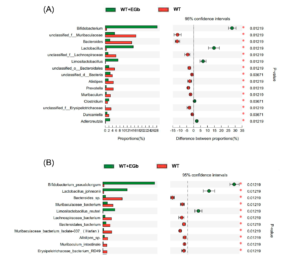 Functional prediction analysis of gut microbial metabolic pathways using PICRUSt or similar tools. Metabolic categories enriched in Ginkgo biloba-treated Alzheimer's model mice suggest alterations in amino acid metabolism, lipid metabolism, and neurotransmitter-related pathways.