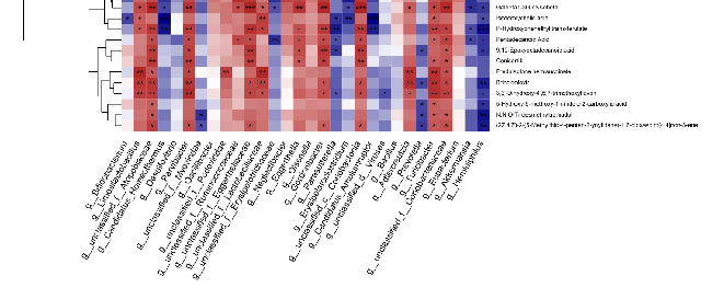 Quantification of gut permeability markers or short-chain fatty acid concentrations in fecal samples from experimental groups. Butyrate, propionate, and acetate levels are compared to assess the metabolic impact of Ginkgo biloba on the gut environment.