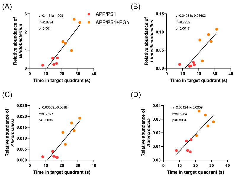 Comprehensive summary model proposing the mechanism by which Ginkgo biloba extract ameliorates Alzheimer's disease symptoms through modulation of the brain-gut axis, gut flora remodeling, and microbial metabolite signaling.