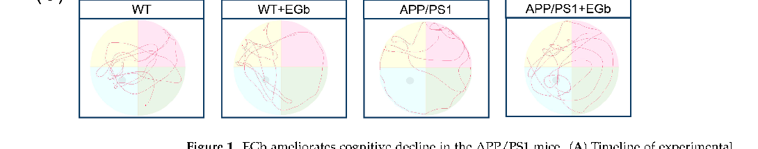 Beta diversity analysis using principal coordinate plots to compare gut microbial community structures across treatment groups. Distinct clustering patterns suggest Ginkgo biloba extract alters the overall composition of the gut microbiome in Alzheimer's model mice.