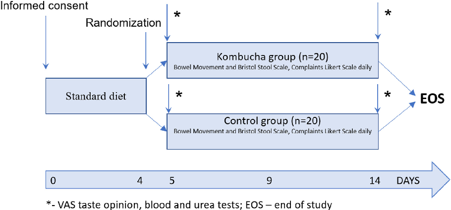 Study design schematic illustrating the intervention protocol, including kombucha drink composition (with inulin and vitamin supplementation), dosing schedule, and assessment timepoints across the trial period.