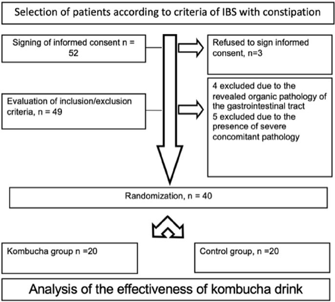 FIGURE 1. Consort ﬂow diagram of patient enrollment, allocation, and analysis.