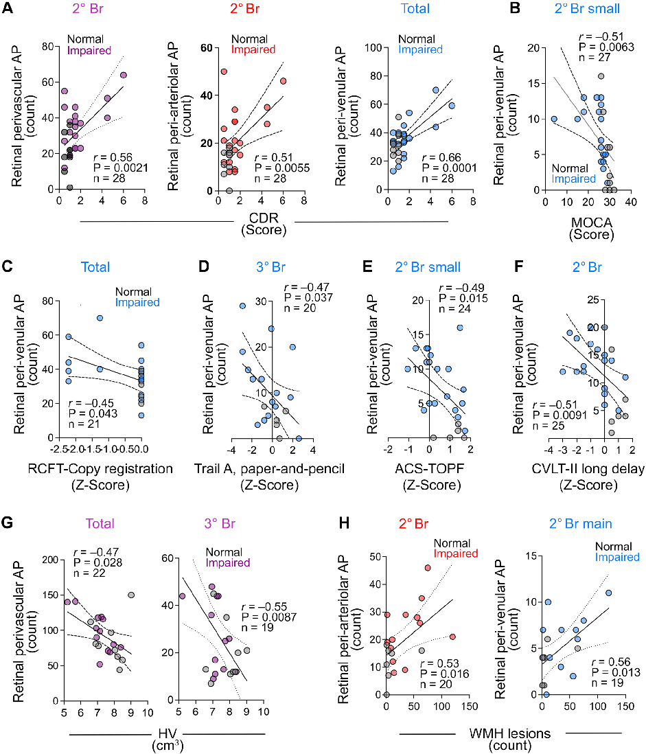 Fig. 4 Correlations between retinal perivascular amyloid plaque distribution with cognitive and neuroimaging measures.
