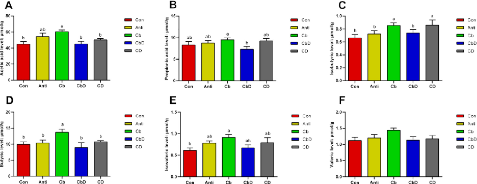 Caecal short-chain fatty acid (SCFA) concentrations in poultry supplemented with Clostridium butyricum and 25-hydroxyvitamin D3, linking gut fermentation products to bone metabolism modulation.
