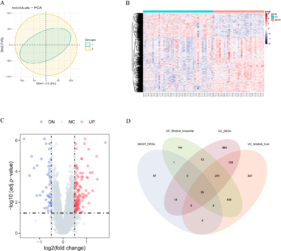 Gene expression analysis of butyrate metabolism-related shared genes across MASLD and colorectal cancer datasets, highlighting differential expression patterns.