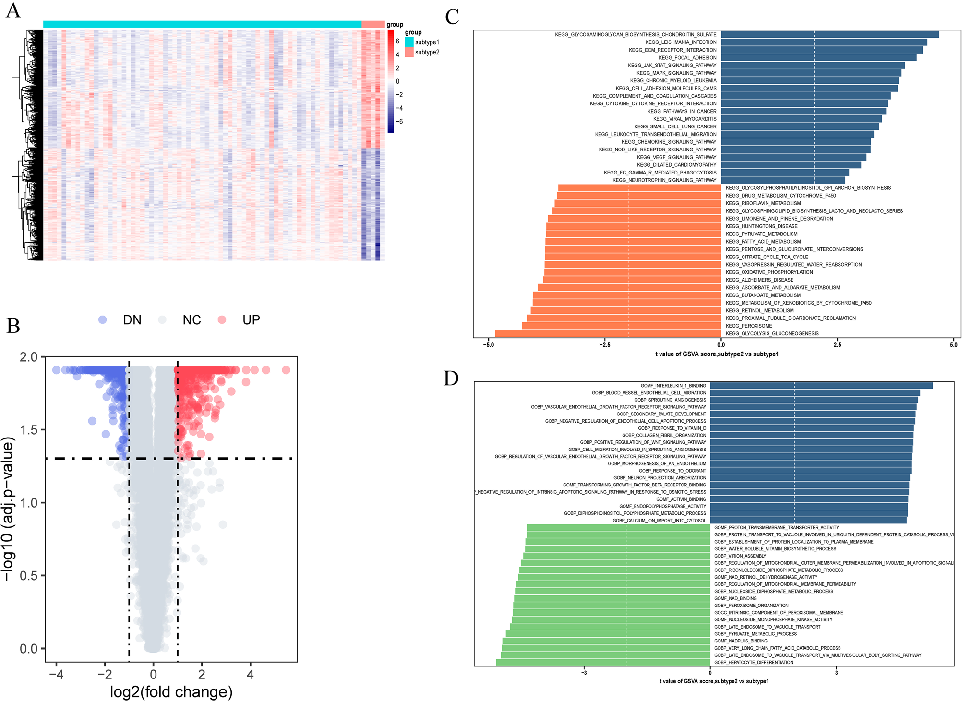 Immune cell infiltration analysis in MASLD and colorectal cancer tissues, correlating butyrate metabolism gene expression with immune microenvironment composition.