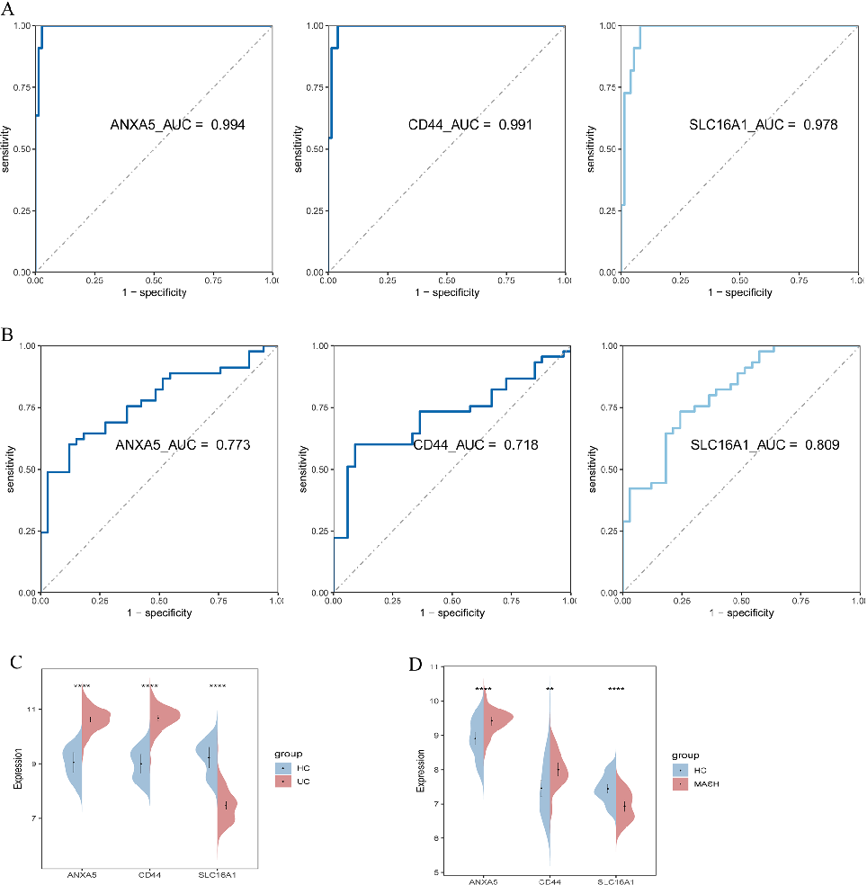 Correlation analysis between butyrate metabolism gene expression and clinical parameters in MASLD and colorectal cancer patient cohorts.