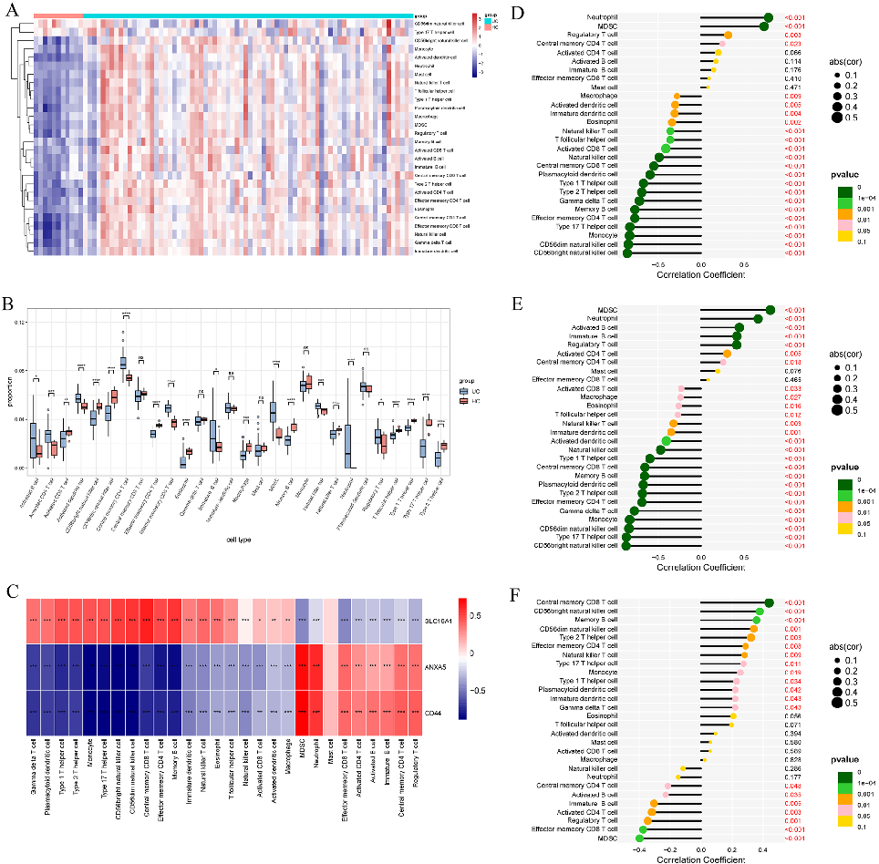 Single-cell or transcriptomic subtype analysis of butyrate metabolism-related gene expression patterns in MASLD and colorectal cancer tissues.