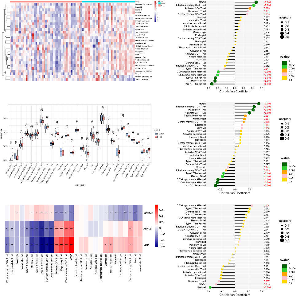 Supplementary bioinformatic analysis supporting the role of butyrate metabolism as a molecular link between MASLD and colorectal cancer.