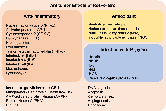 Figure 3. Mechanisms of resveratrol in preventing inflammation (red box), oxidative stress (yellow box), H. pylori infection (light blue box) and, thereby, cancer (all, light pink box).
