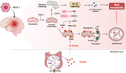 g r a p h i c a l a b s t r a c t