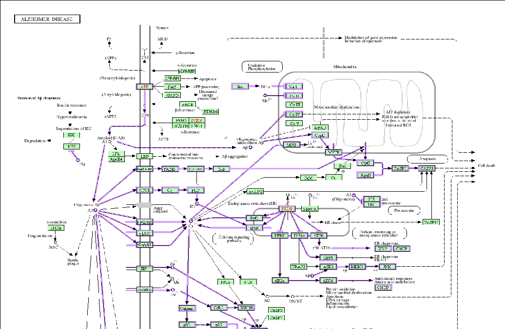 Introductory overview of the carotenoid compounds evaluated for neuroprotective effects in Alzheimer's disease. The review examines how these dietary pigments may counteract neurodegeneration through antioxidant and anti-inflammatory pathways.