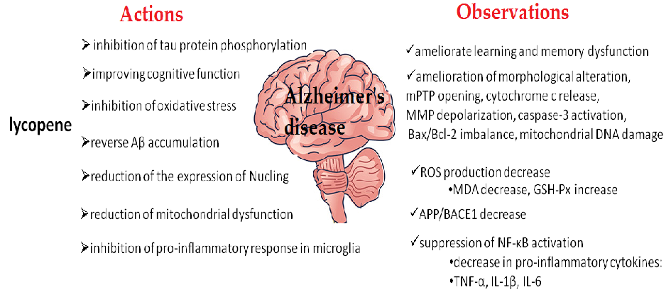 Evidence summary on the association between specific carotenoid compounds and Alzheimer's disease biomarkers. The data suggest that higher carotenoid status may be linked to reduced oxidative damage in neural tissues.