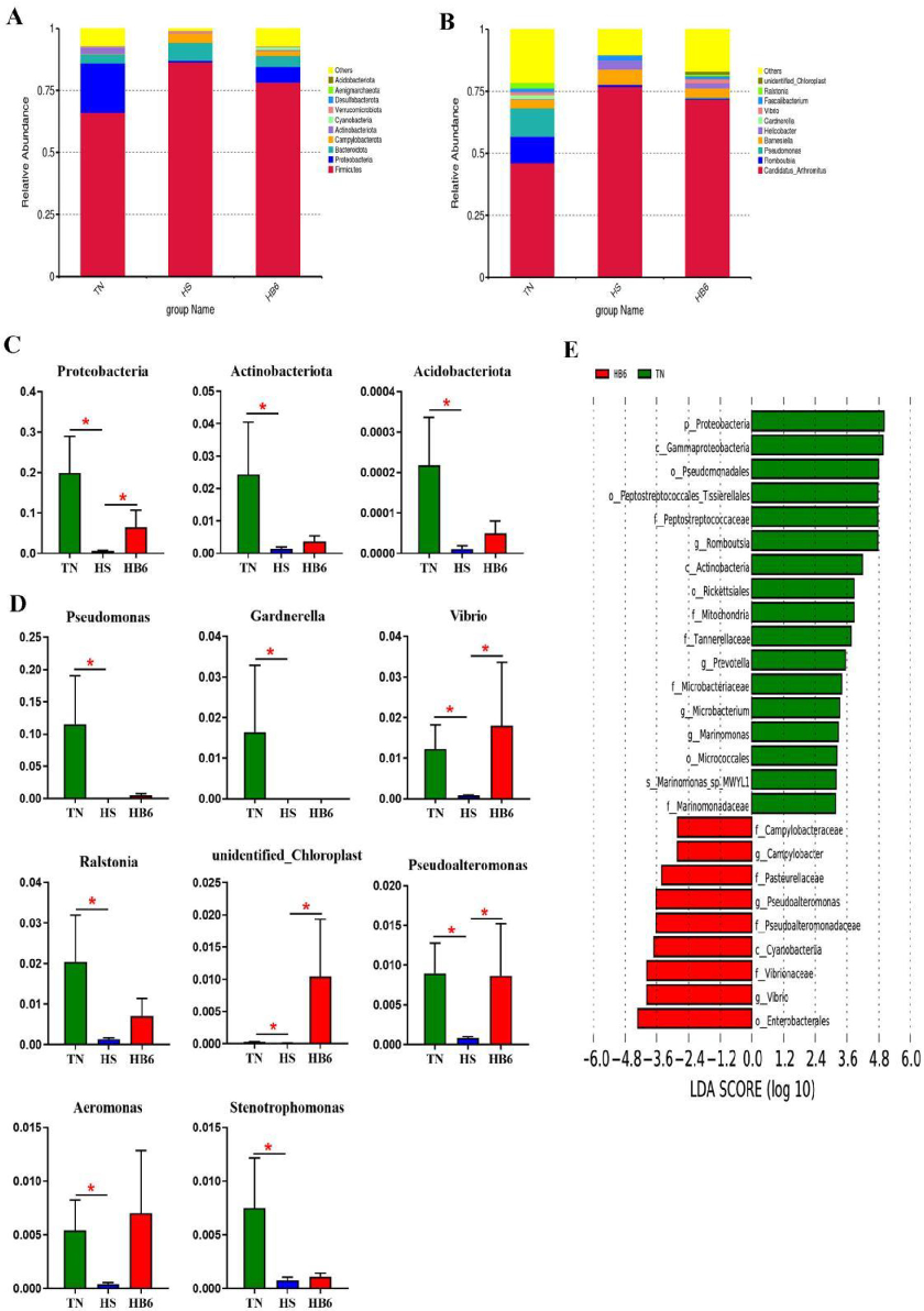 Figure 5. Differences in the bacterial communities of ileum mucosa determined by LEfSe analysis and MetaStat analysis. (A) The microbial community at the phylum level. (B) The microbial community at the genus level. (C) The signiﬁcant differential microbi