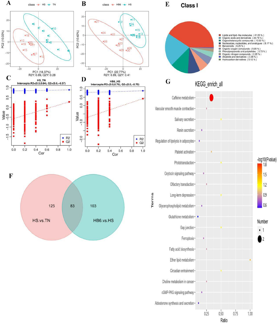 Figure 6. Effect of vitamin B6 on the ileum mucosa metabolites of heat-stressed broilers. (A-B) Partial least squares-discriminant analysis (PLS-DA) score plot. (C-D) PLS-DA valid plot. (E) Pie chart of identiﬁed metabolites classiﬁcation. (F) Venn plot. 
