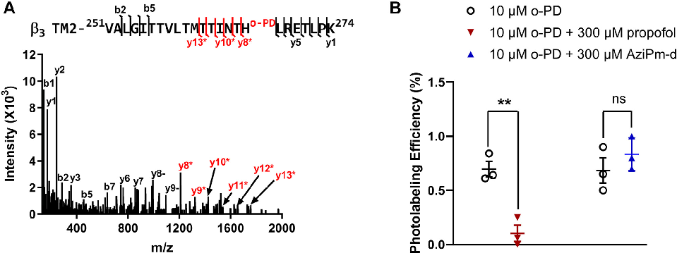 Mutagenesis or competition binding data supporting the classification of three distinct propofol binding site classes on GABAA receptors.