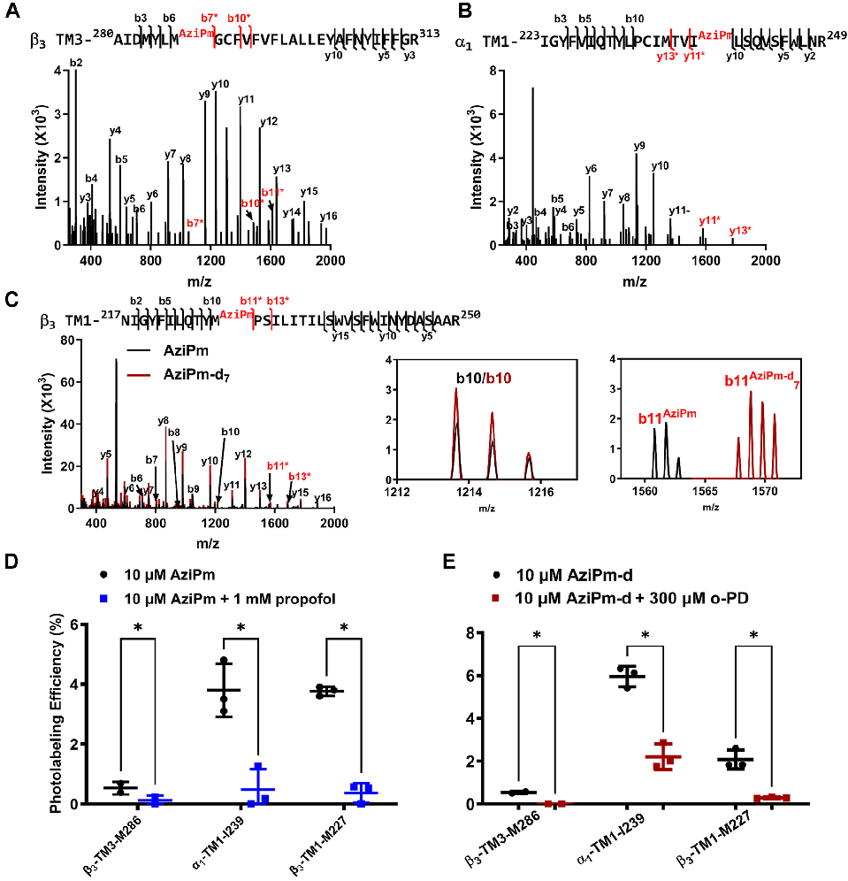 Structure-activity relationship analysis of propofol analogs at the different GABAA receptor binding sites, informing anesthetic drug design.