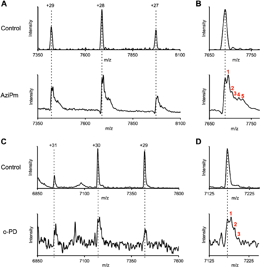 Comparative analysis of propofol binding site occupancy and functional consequences for GABAA receptor channel gating and anesthetic efficacy.