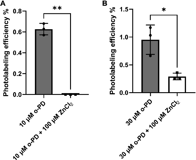 Supplementary structural or pharmacological data supporting the three-class model of propofol binding to GABAA receptors.