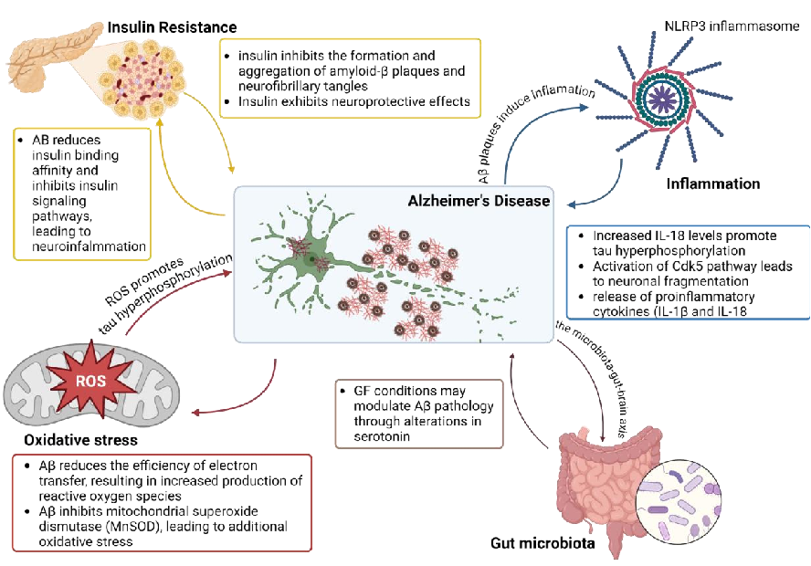 Various nanoparticle-based drug delivery systems designed to cross the blood-brain barrier are depicted, including liposomes, polymeric nanoparticles, and solid lipid carriers for Alzheimer's disease therapeutics.