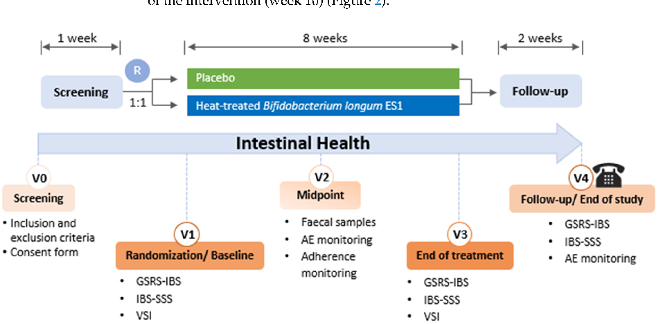 Gastrointestinal symptom scores at baseline and follow-up are compared between the postbiotic HT-ES1 and placebo groups, showing changes in digestive comfort over the intervention period.