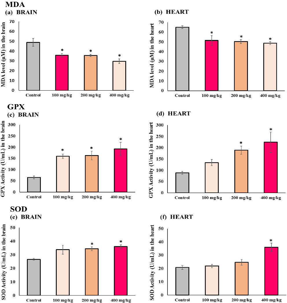 Cognitive function assessment results comparing aged mice receiving different vitamin E doses. Behavioral testing data suggest that vitamin E supplementation is associated with improved cognitive performance in a dose-dependent manner.