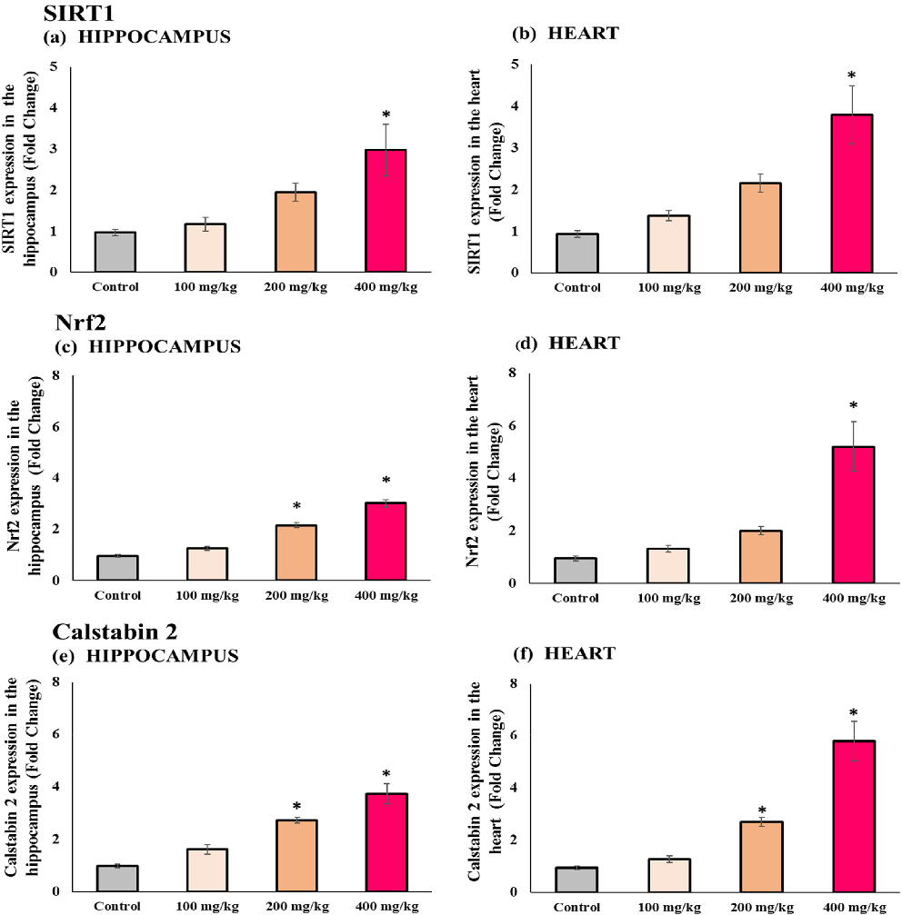 Gene expression analysis in aged mice treated with varying vitamin E doses, examining aging-related molecular pathways. The data reveal differential regulation of oxidative stress response genes across treatment groups.