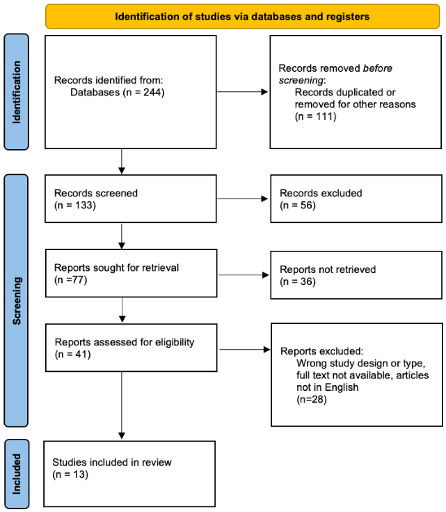 Figure 1. Flow chart diagram illustrating the database searches, number of publications identified, screened, and final full texts included in the systematic review.