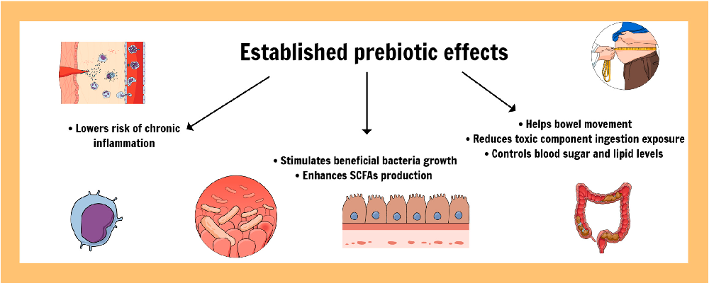Figure 5. Established prebiotic effects for intestinal and systemic health.