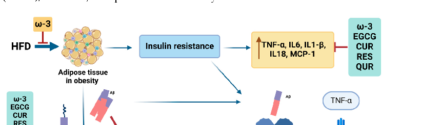 Visual summary of the pathways and interactions relevant to mechanisms Linking Obesity, Insulin Resistance, and Alzheimer's Disease, as discussed in the context of alzheimer's disease (AD) is a complex neurodegenerative disorder characterized by progressive cognitive decline, memo.