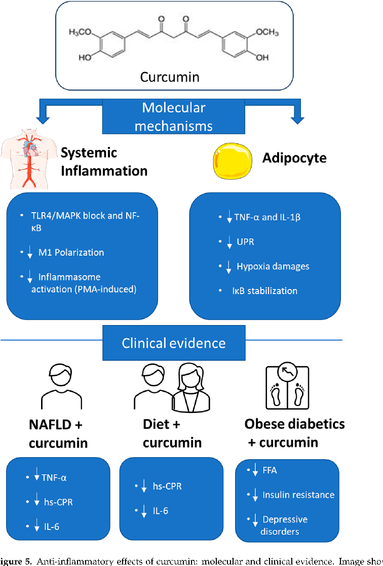 Anti-inﬂammatory eﬀects of curcumin: molecular and clinical evidence. Image shows the main mechanisms by which curcumin exerts anti-inﬂammatory eﬀects both systemically and in adipocytes.