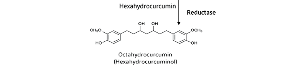Visual summary of the pathways and interactions relevant to curcumin Modulation of the Gut, as discussed in the context of curcumin, a polyphenolic compound derived from Curcuma longa, has gained significant attention for its potential ther.