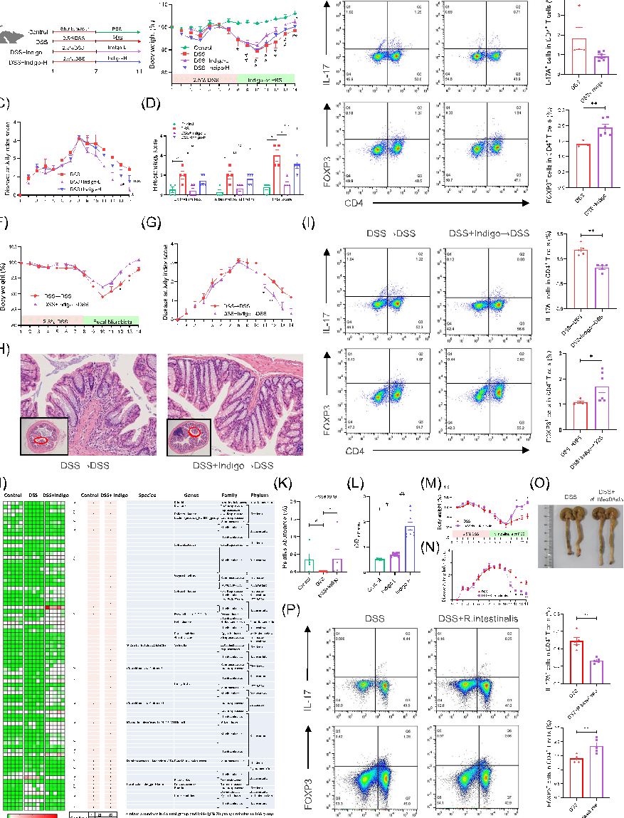 Experimental results examining gut microbiota, with data points illustrating key findings related to this study explored the effect of plant-derived indigo supplementation on intestinal inflammation using in vivo, in v.