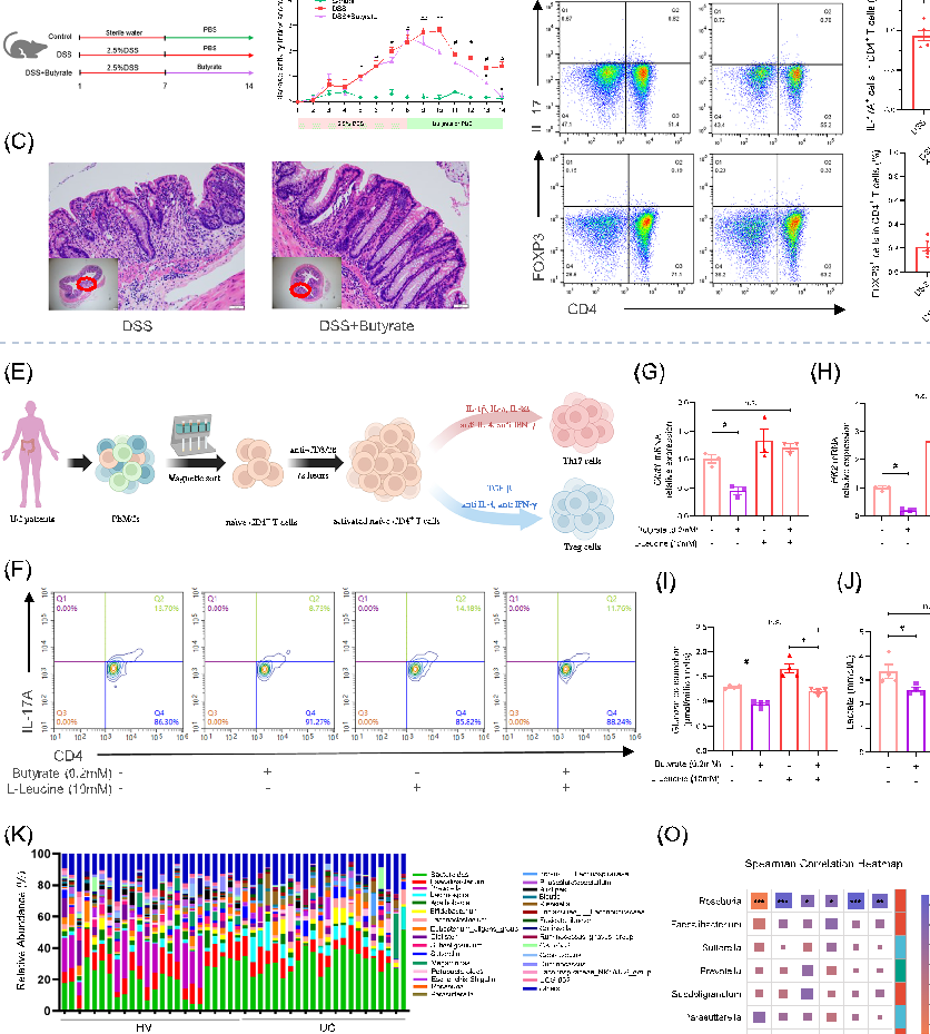 Statistical analysis from research investigating gut microbiota, comparing treatment groups and control conditions.