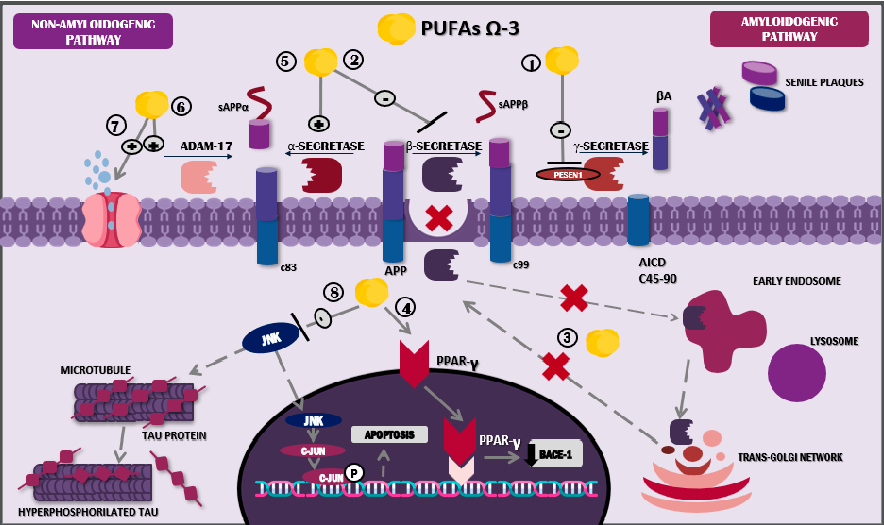 Statistical analysis from research investigating neuroprotective Role of Omega-3 Fatty Acids: Fighting Alzheimer's Disease, comparing treatment groups and control conditions.