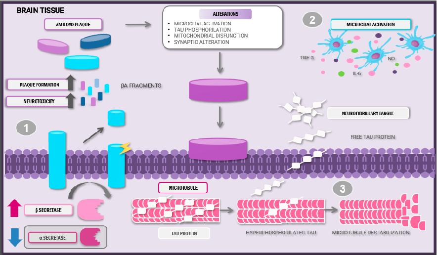 Experimental results examining neuroprotective Role of Omega-3 Fatty Acids: Fighting Alzheimer's Disease, with data points illustrating key findings related to alzheimer's disease (AD) is one of the main causes of dementia, with an exponential increment in its incidence as yea.