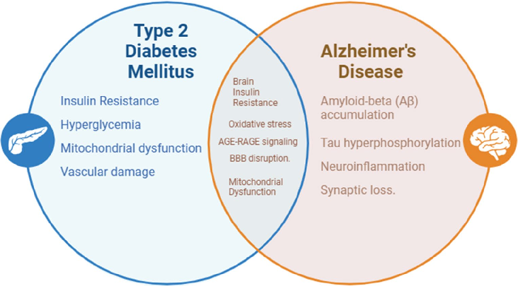 Experimental results examining from metabolic dysregulation to neurodegenerative pathology, with data points illustrating key findings related to type 2 Diabetes (T2D) and Alzheimer's Disease (AD) share common risk factors that can be seen through T2D nearly doub.
