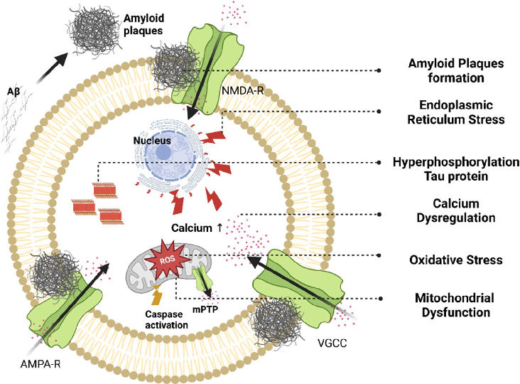 Measured parameters from a study evaluating from metabolic dysregulation to neurodegenerative pathology, contributing to the overall assessment of type 2 Diabetes (T2D) and Alzheimer's Disease (AD) share common risk factors that can be seen through T2D nearly doub.