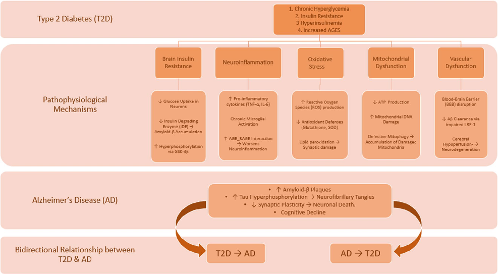Graphical representation of outcomes in a study of from metabolic dysregulation to neurodegenerative pathology, highlighting trends observed across experimental conditions.